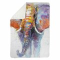Begin Home Decor 60 x 80 in. Colorful Walking Elephant-Sherpa Fleece Blanket 5545-6080-AN54